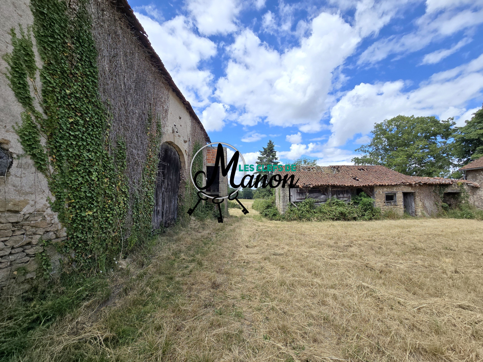 Photo du bien